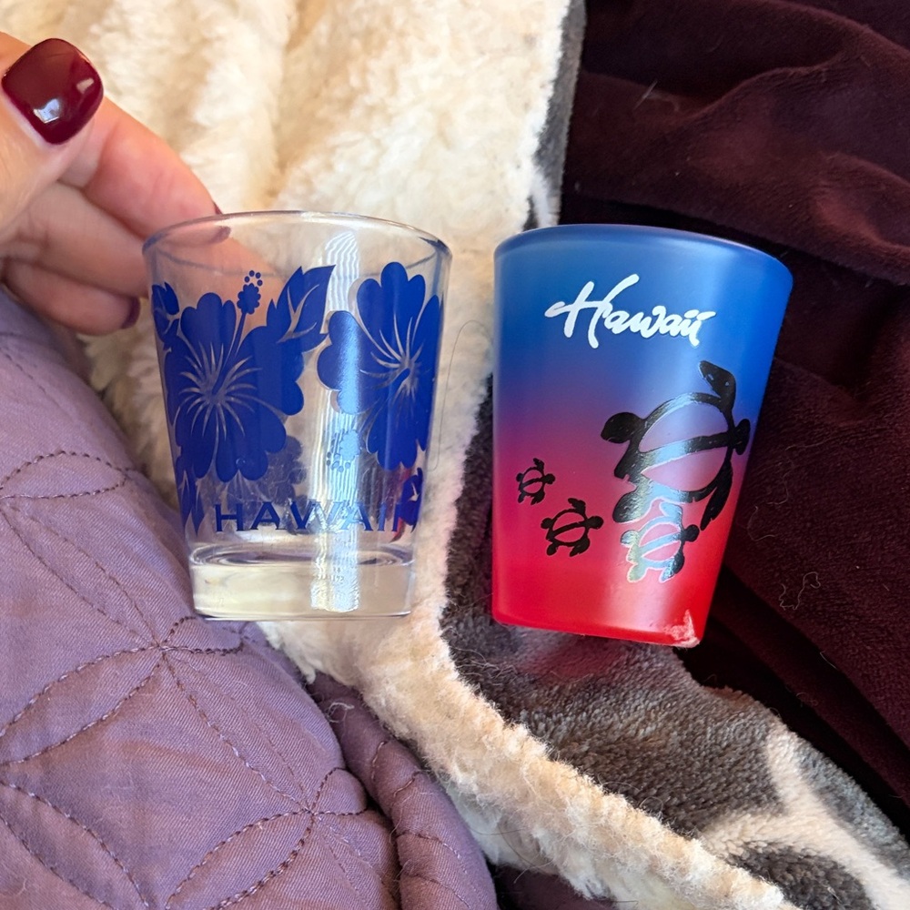 Hawaii Themed Shot Glass Set